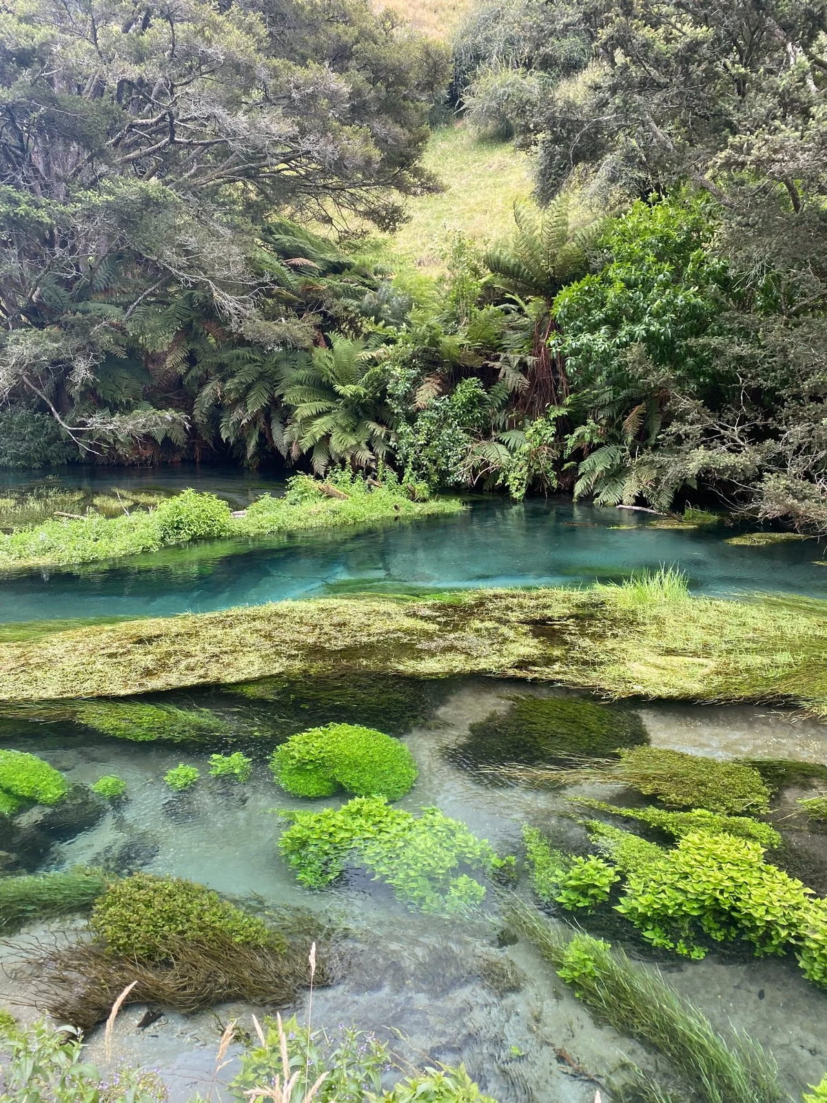 Flowing water surrounded by rocks and woodland