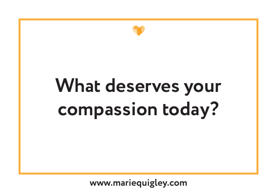 Compassion reflection question: What deserves your compassion today?
